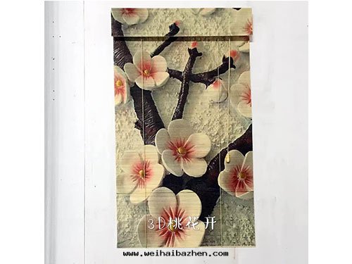 竹(zhú)帘(lián)-(10)