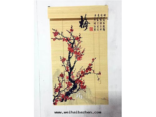 竹(zhú)帘(lián)-(8)