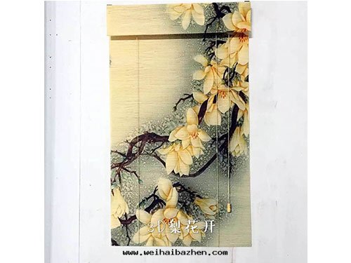 竹(zhú)帘(lián)-(9)