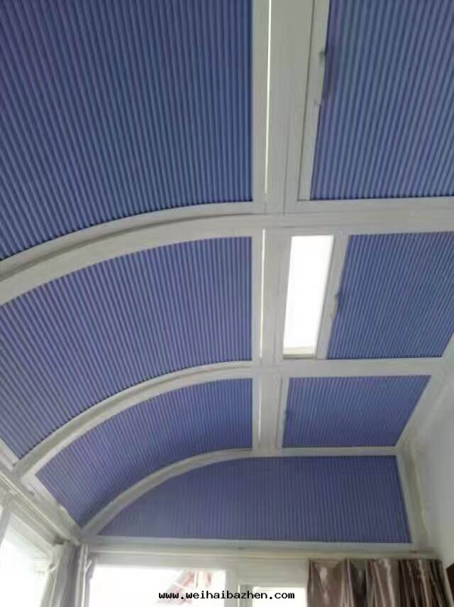 電(diàn)動(dòng)天(tiān)棚帘(lián) (1)