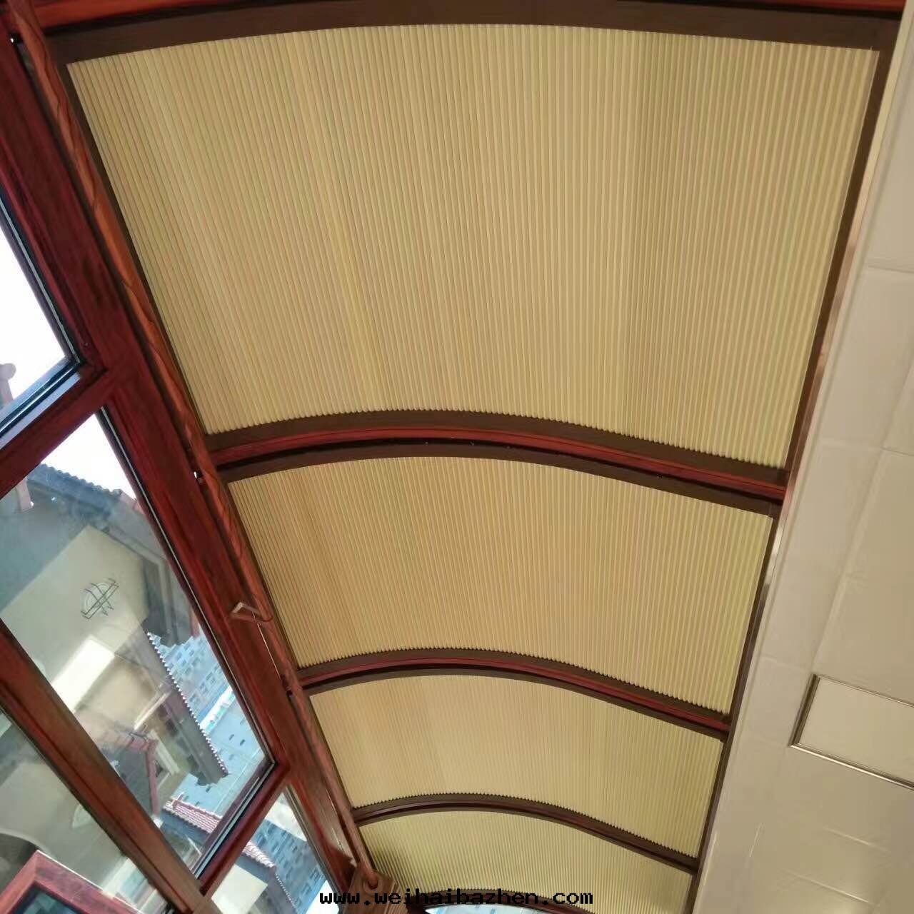 電(diàn)動(dòng)天(tiān)棚帘(lián) (6)