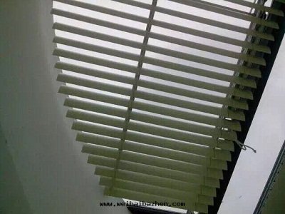 大型天(tiān)棚帘(lián) (5)