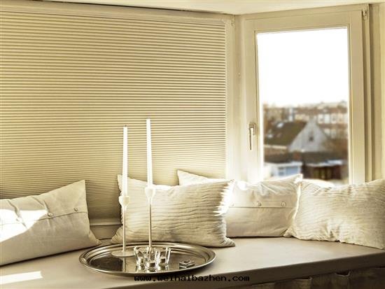 蜂巢帘(lián)图(tú)片(piàn)6 蜂巢帘(lián)图(tú)片(piàn)6